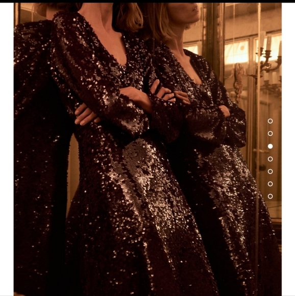 Zara Sequinned Limited Edition Dress - Picture 12 of 16